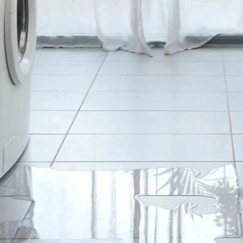 Appliance Leak Cleanup in Neptune Beach, FL